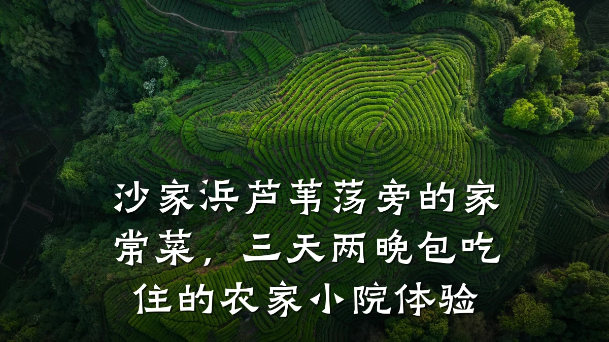 沙家浜芦苇荡旁的家常菜,三天两晚包吃住的农家小院体验