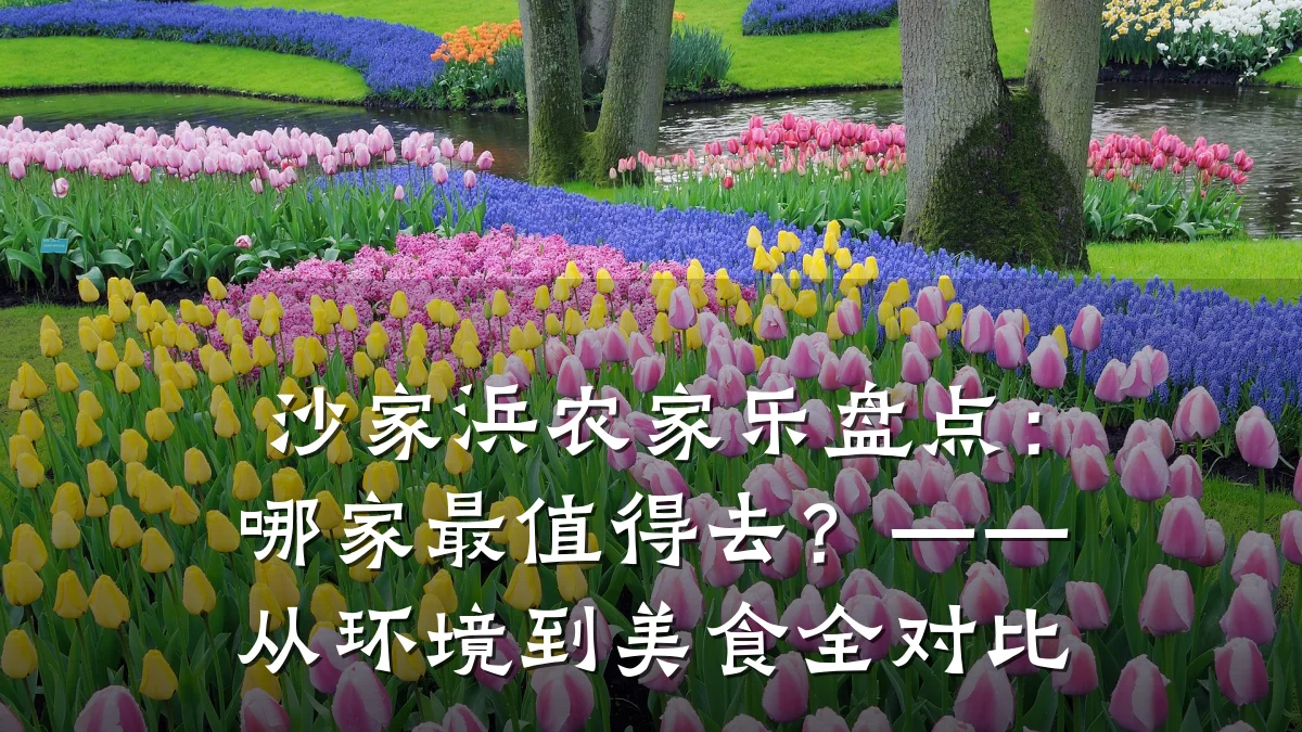 沙家浜农家乐盘点:哪家最值得去?——从环境到美食全对比