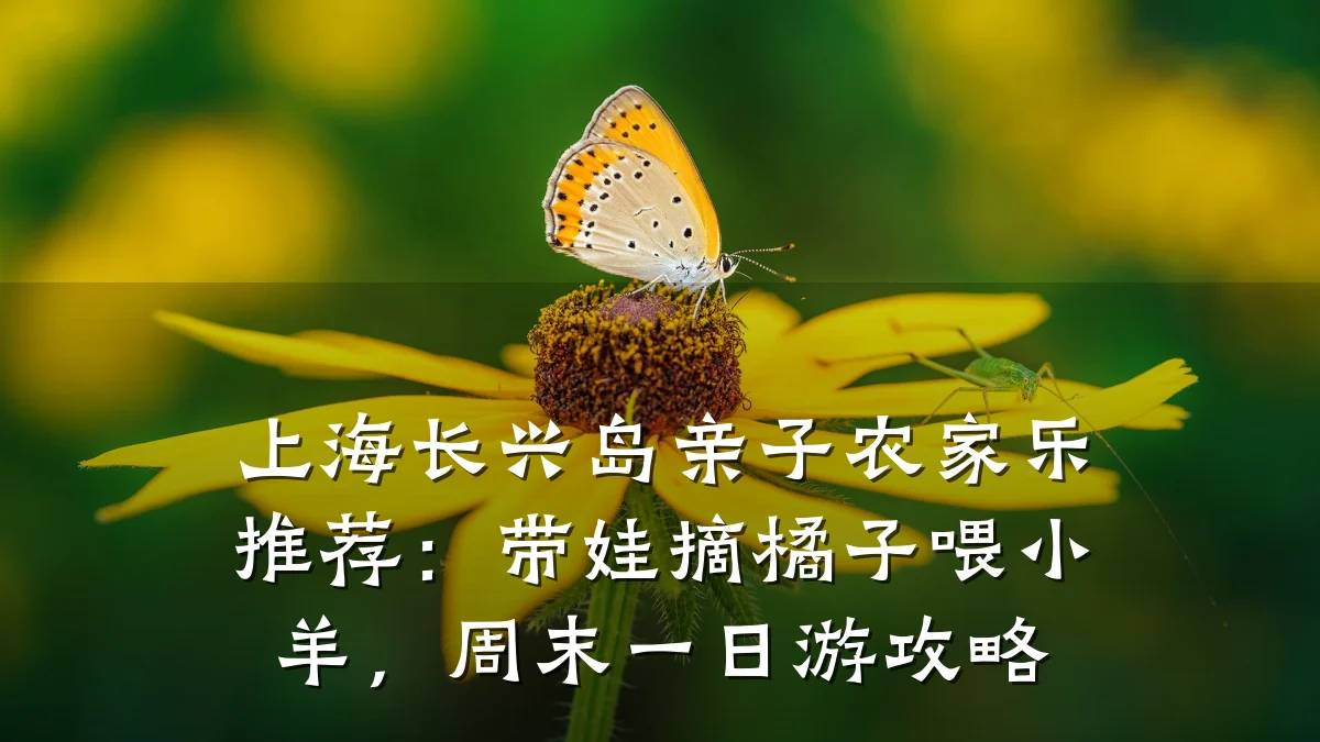 上海长兴岛亲子农家乐推荐:带娃摘橘子喂小羊,周末一日游攻略