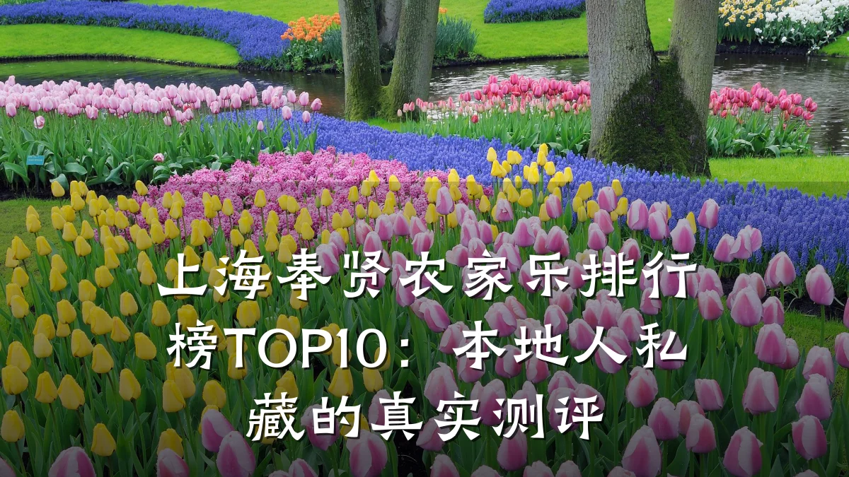 上海奉贤农家乐排行榜TOP10:本地人私藏的真实测评