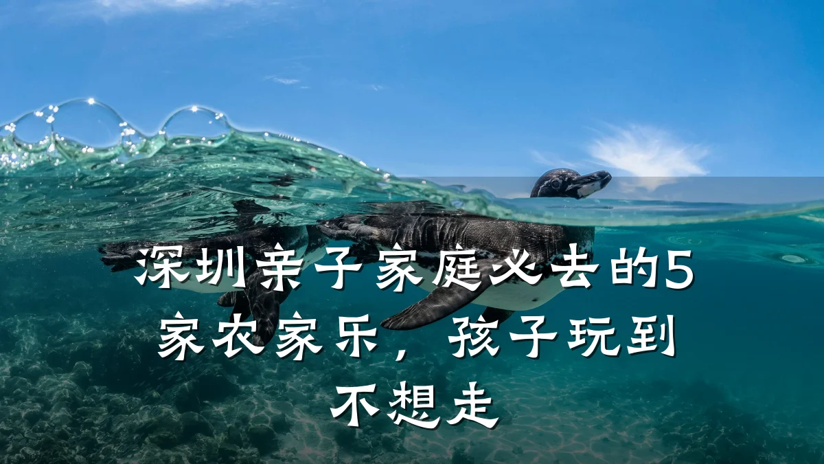 深圳亲子家庭必去的5家农家乐,孩子玩到不想走
