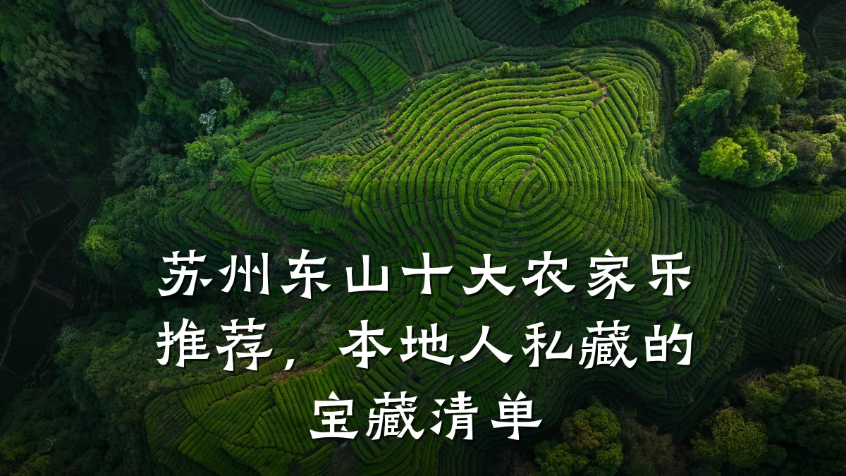苏州东山十大农家乐推荐,本地人私藏的宝藏清单