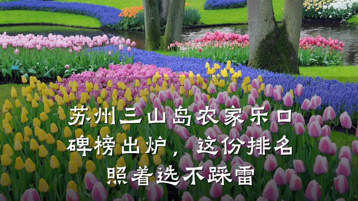 苏州三山岛农家乐口碑榜出炉,这份排名照着选不踩雷