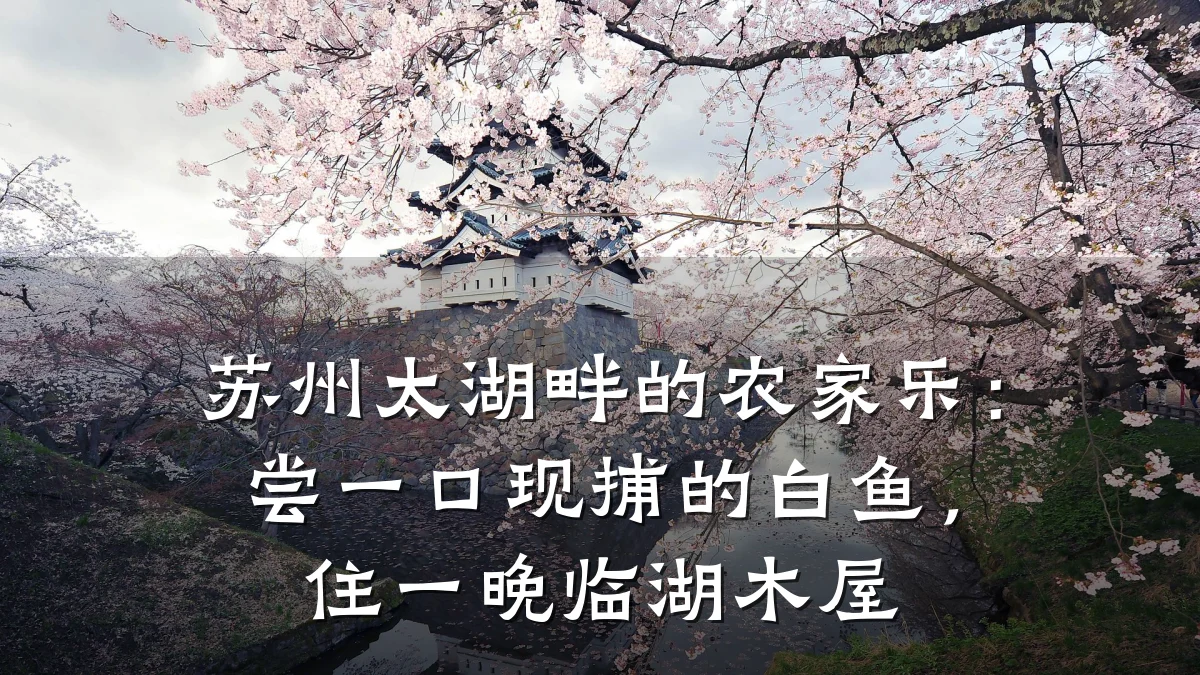 苏州太湖畔的农家乐:尝一口现捕的白鱼,住一晚临湖木屋