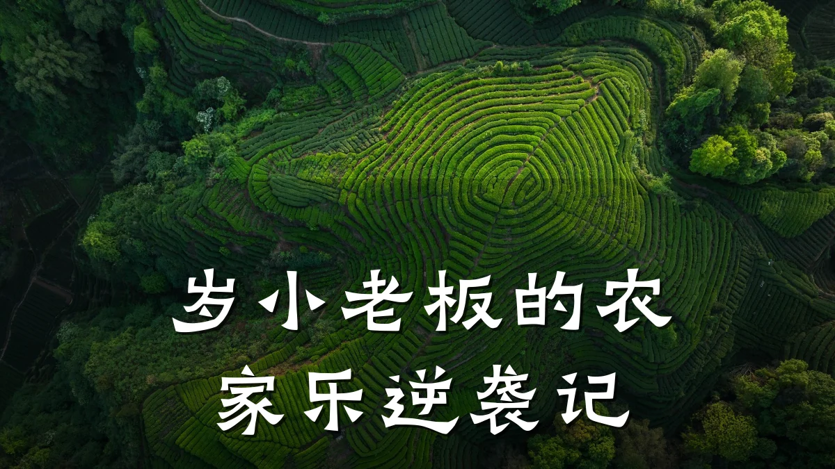 岁小老板的农家乐逆袭记