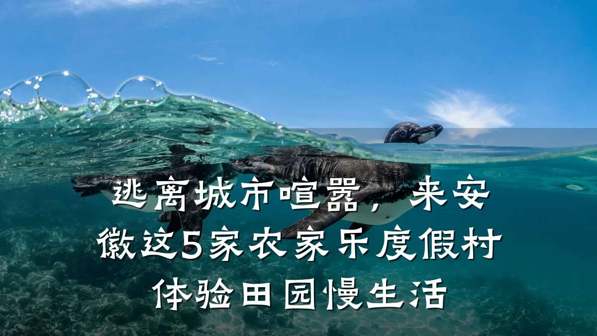 逃离城市喧嚣,来安徽这5家农家乐度假村体验田园慢生活