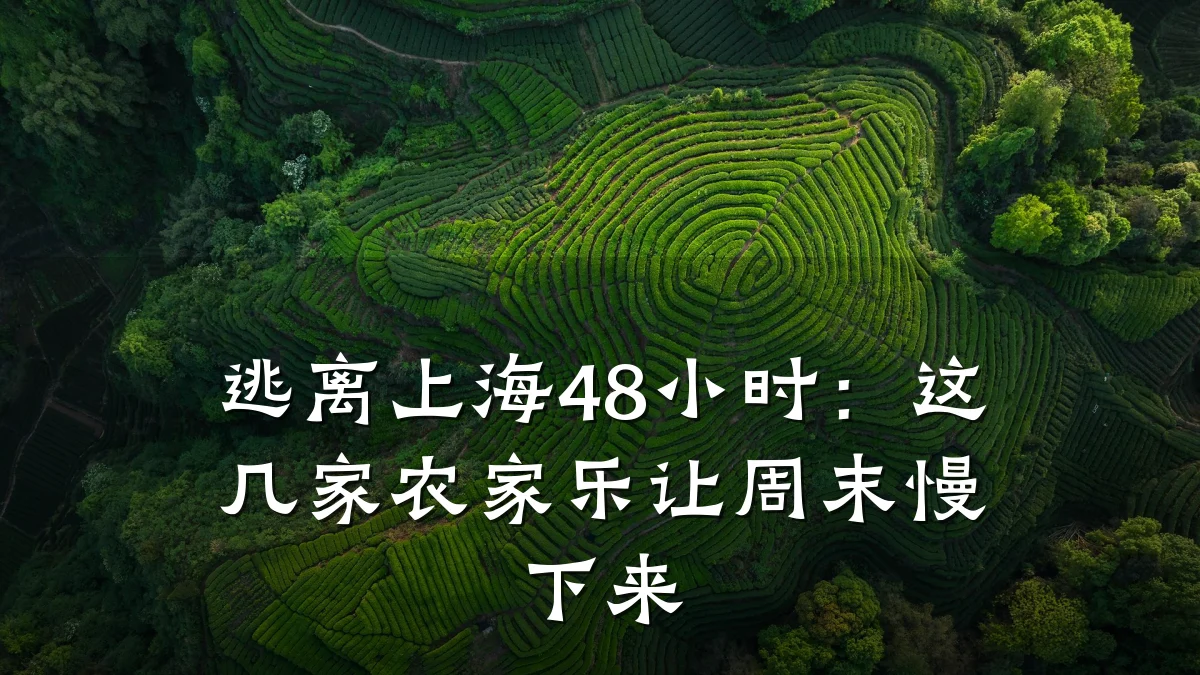 逃离上海48小时:这几家农家乐让周末慢下来