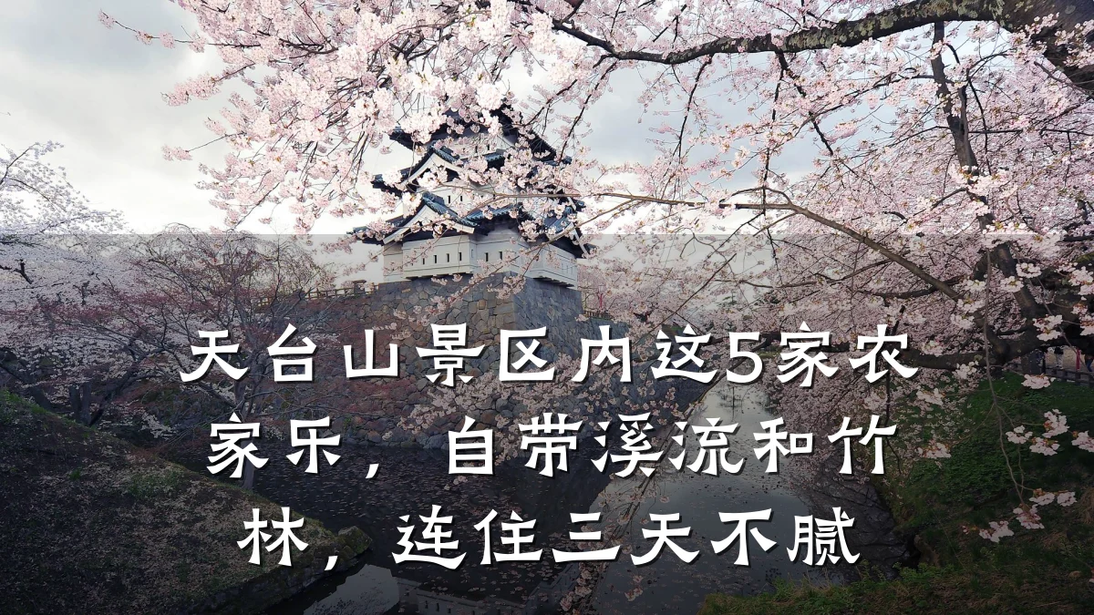 天台山景区内这5家农家乐,自带溪流和竹林,连住三天不腻