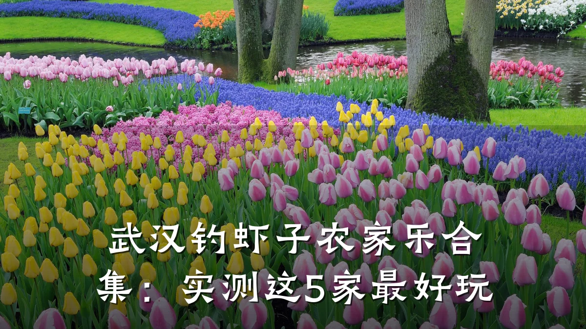 武汉钓虾子农家乐合集:实测这5家最好玩