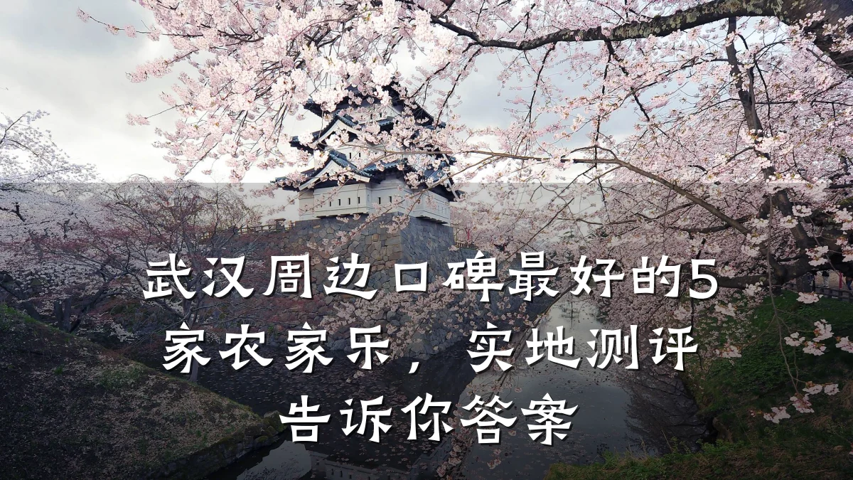 武汉周边口碑最好的5家农家乐,实地测评告诉你答案