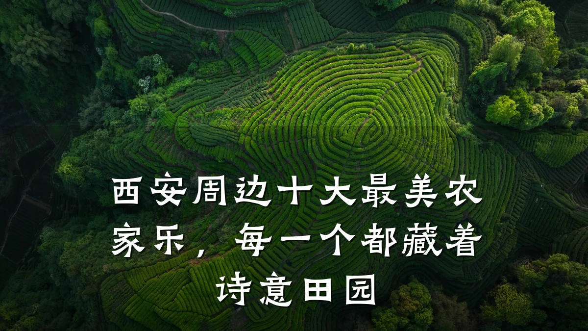 西安周边十大最美农家乐,每一个都藏着诗意田园