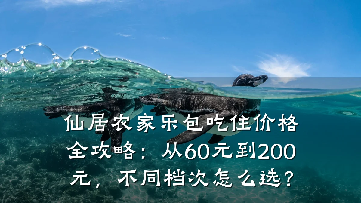 仙居农家乐包吃住价格全攻略:从60元到200元,不同档次怎么选?