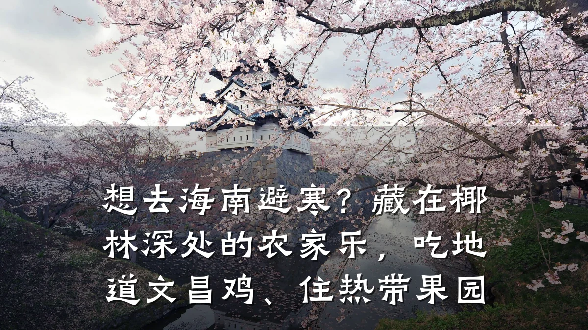 想去海南避寒？藏在椰林深处的农家乐，吃地道文昌鸡、住热带果园