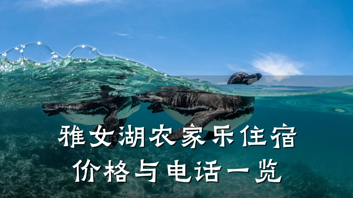 雅女湖农家乐住宿价格与电话一览