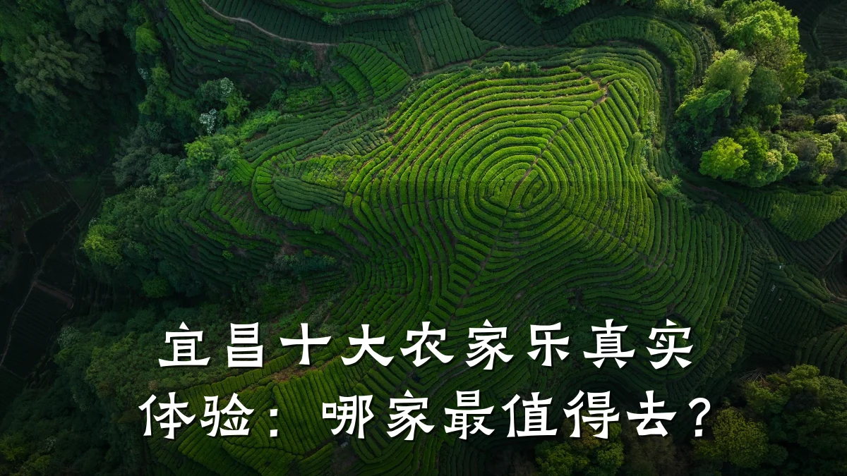 宜昌十大农家乐真实体验:哪家最值得去?
