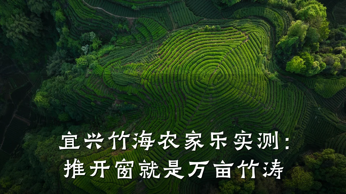 宜兴竹海农家乐实测:推开窗就是万亩竹涛