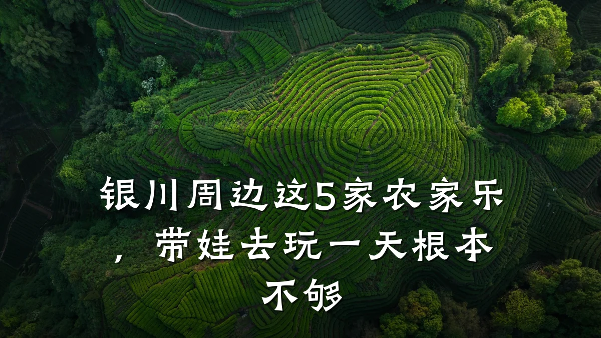 银川周边这5家农家乐,带娃去玩一天根本不够