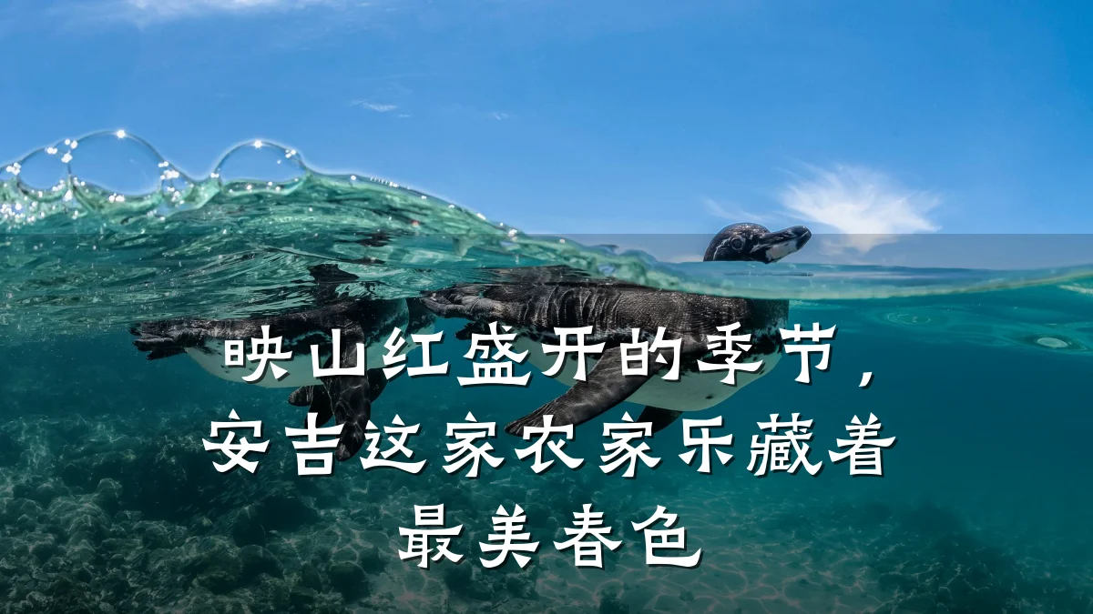 映山红盛开的季节,安吉这家农家乐藏着最美春色