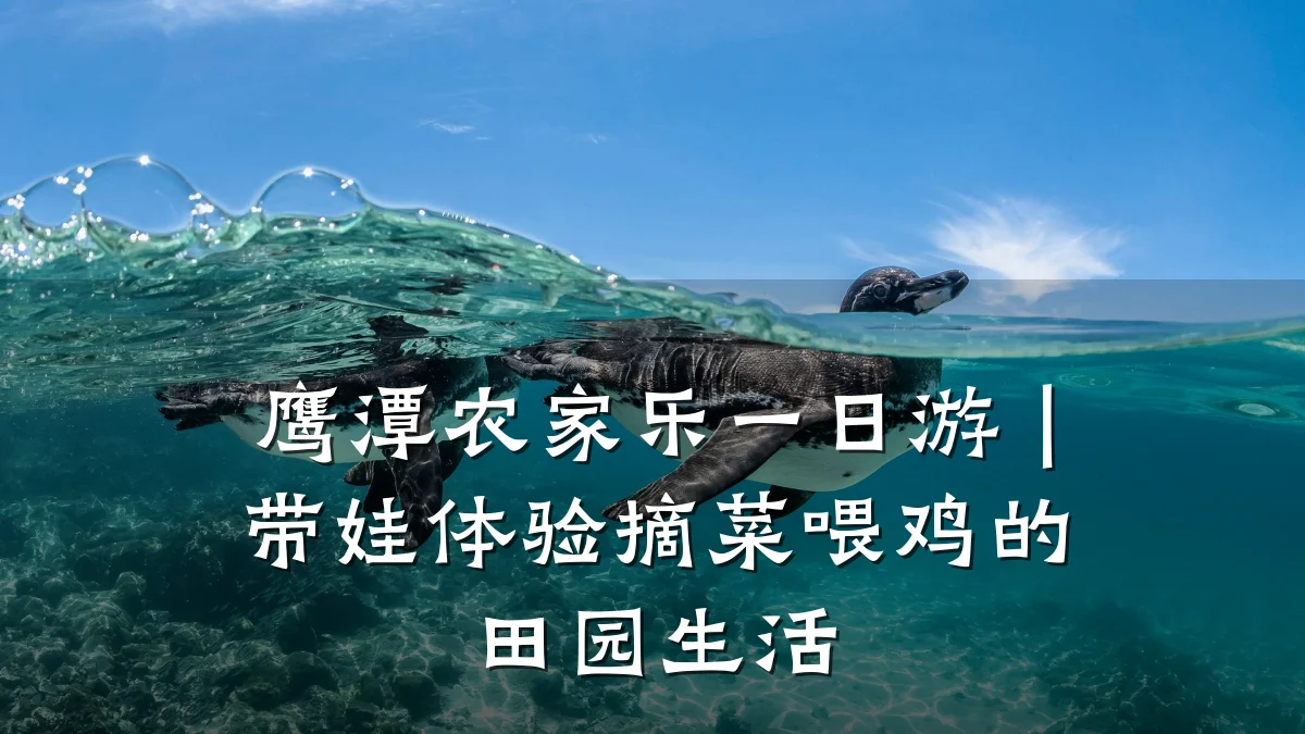 鹰潭农家乐一日游|带娃体验摘菜喂鸡的田园生活