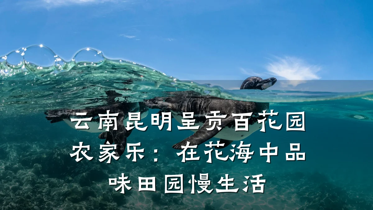 云南昆明呈贡百花园农家乐:在花海中品味田园慢生活