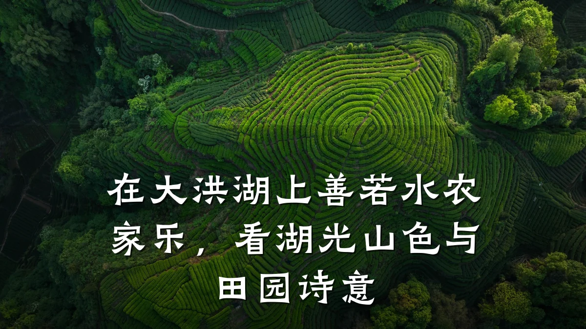 在大洪湖上善若水农家乐,看湖光山色与田园诗意