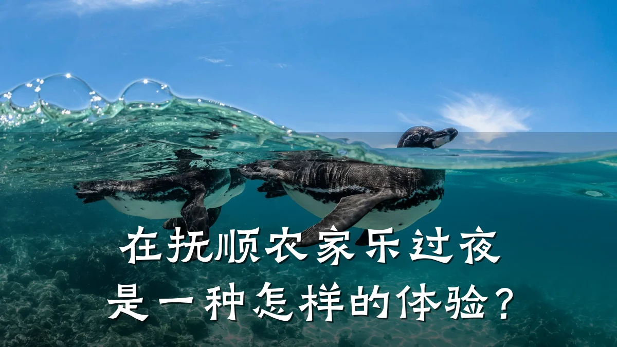 在抚顺农家乐过夜是一种怎样的体验?