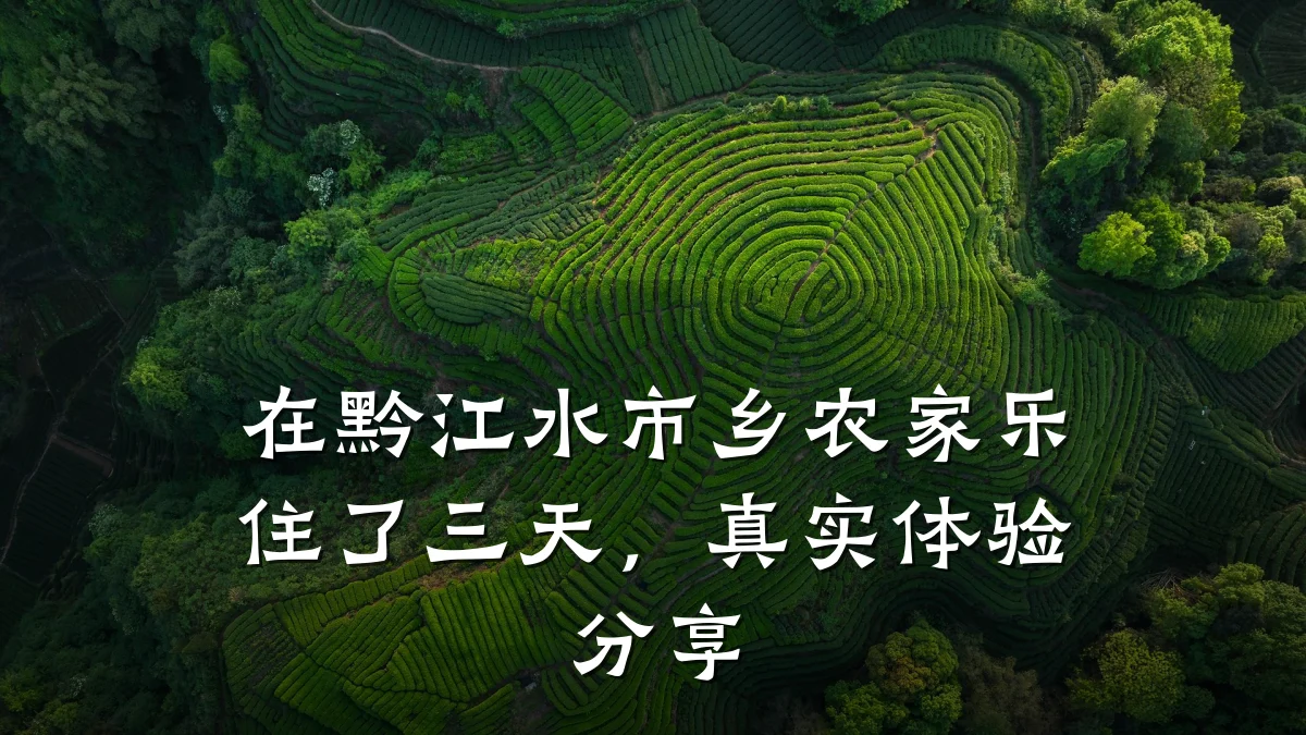 在黔江水市乡农家乐住了三天,真实体验分享