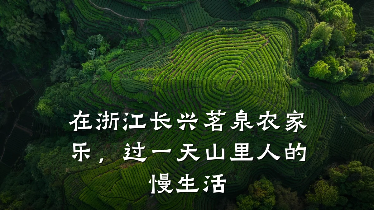 在浙江长兴茗泉农家乐,过一天山里人的慢生活
