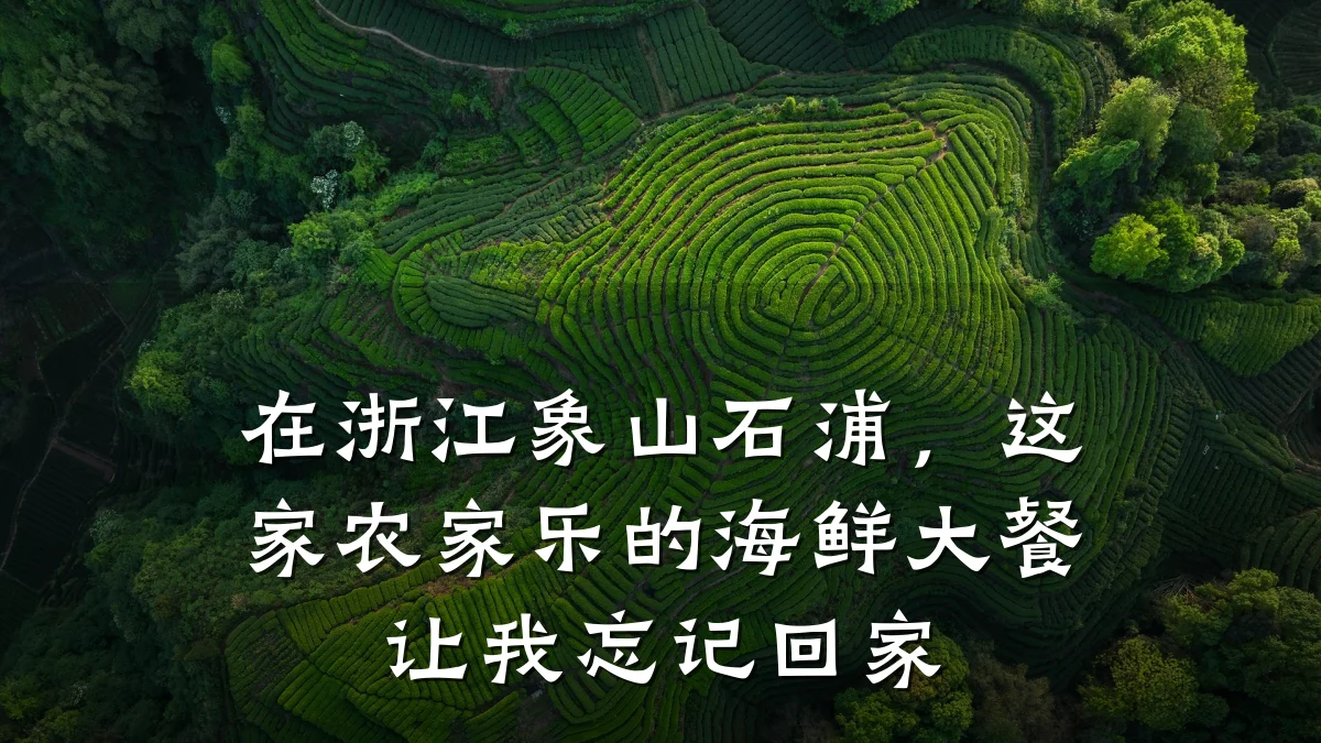 在浙江象山石浦,这家农家乐的海鲜大餐让我忘记回家
