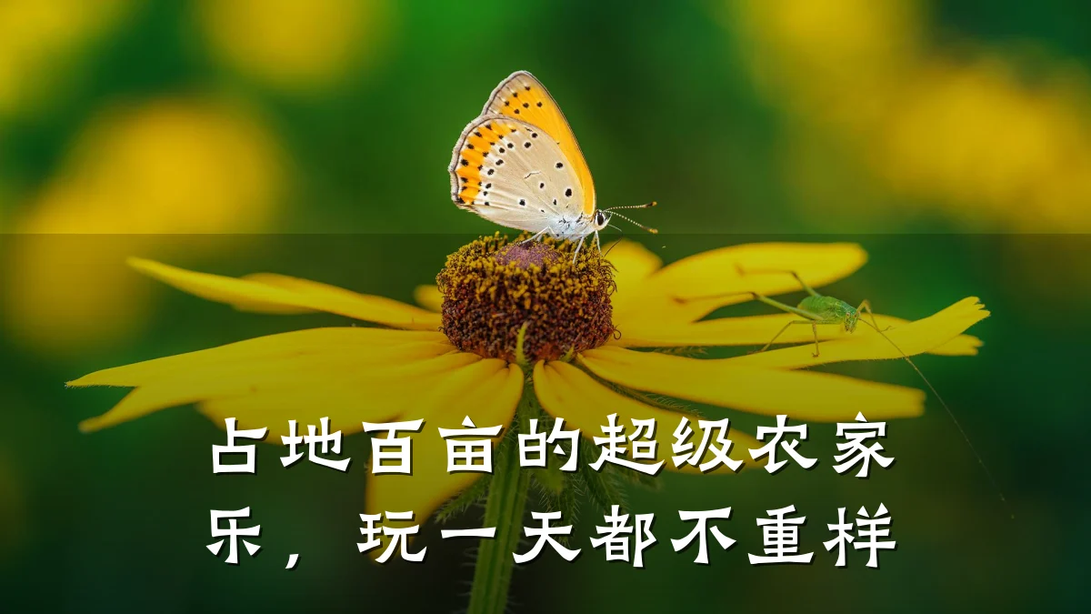 占地百亩的超级农家乐,玩一天都不重样