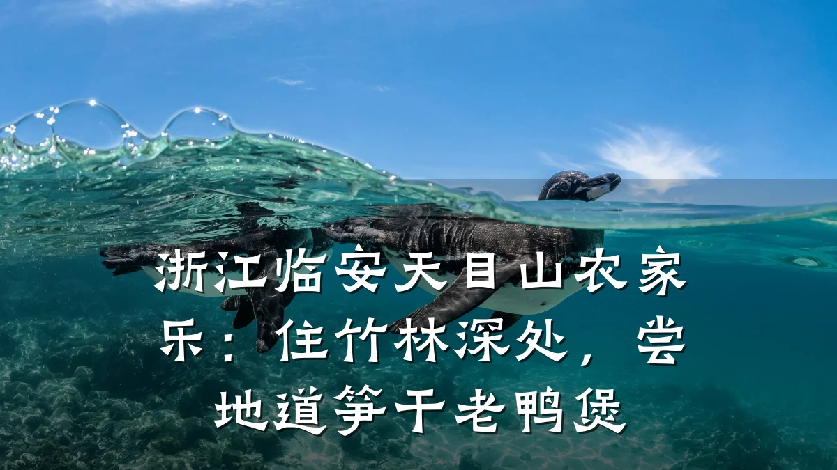 浙江临安天目山农家乐:住竹林深处,尝地道笋干老鸭煲