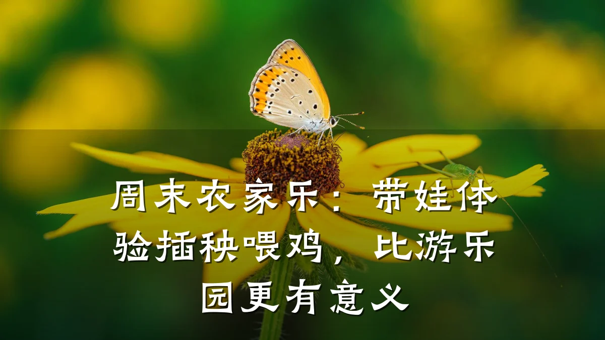 周末农家乐:带娃体验插秧喂鸡,比游乐园更有意义