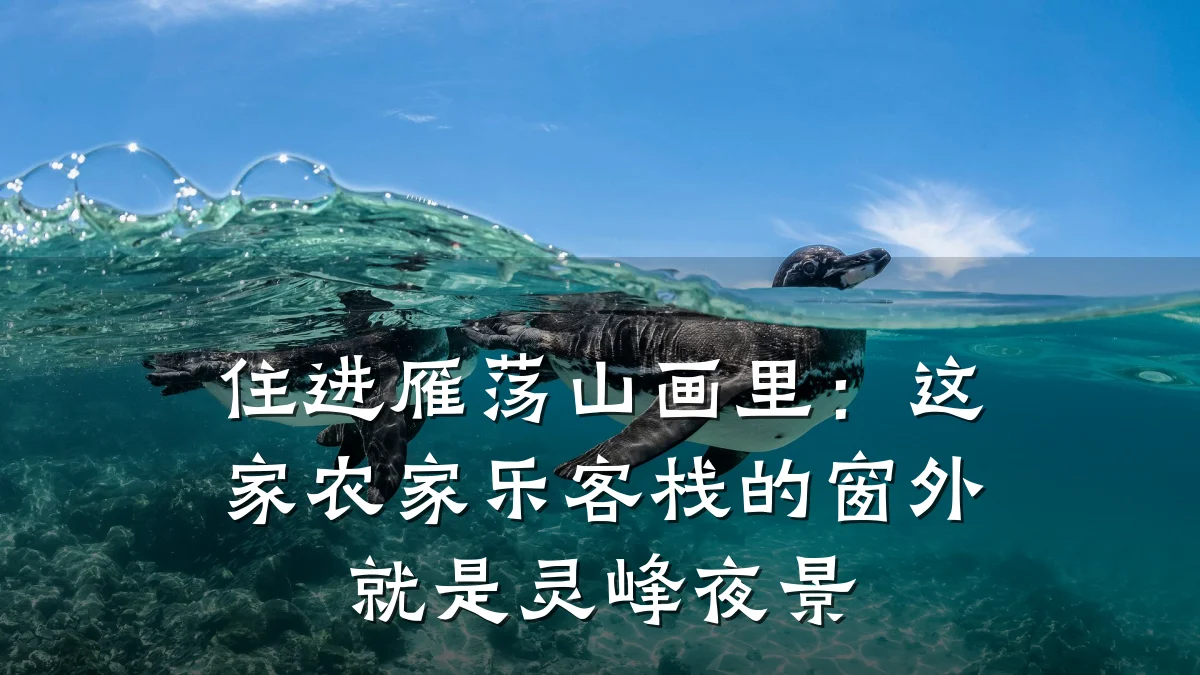 住进雁荡山画里:这家农家乐客栈的窗外就是灵峰夜景