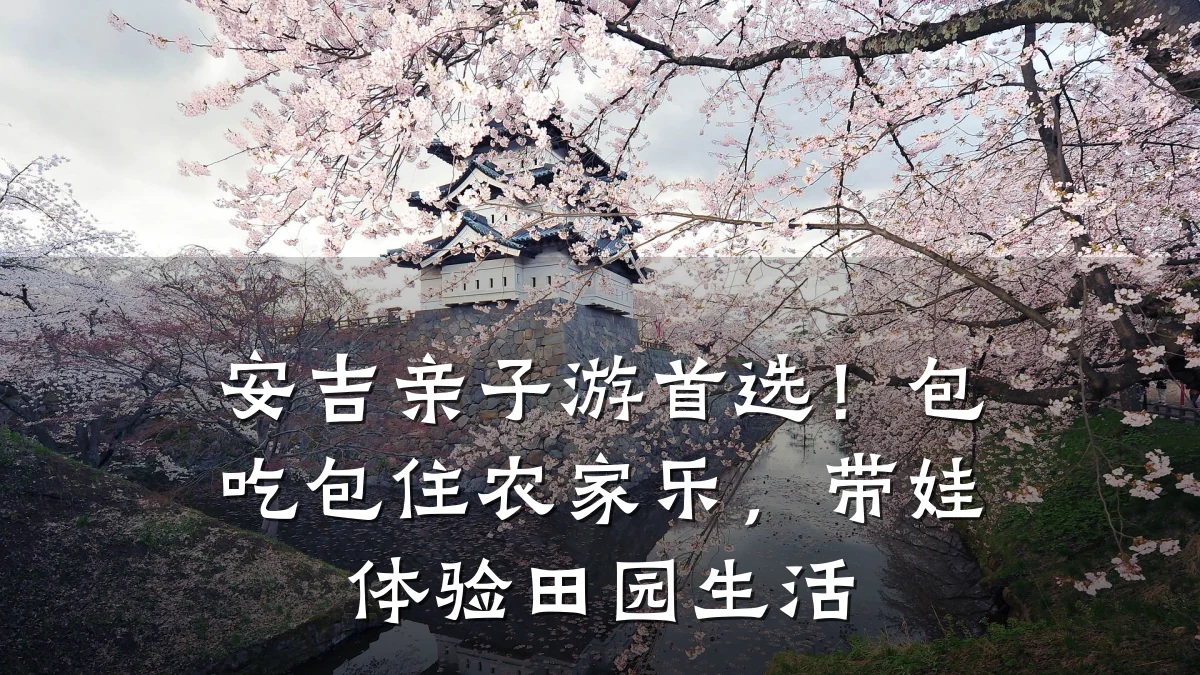 安吉亲子游首选!包吃包住农家乐,带娃体验田园生活