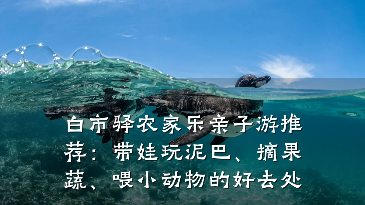 白市驿农家乐亲子游推荐:带娃玩泥巴、摘果蔬、喂小动物的好去处