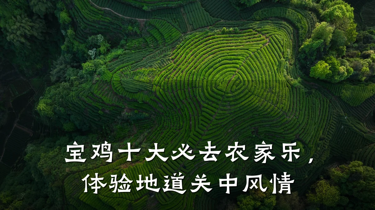 宝鸡十大必去农家乐,体验地道关中风情