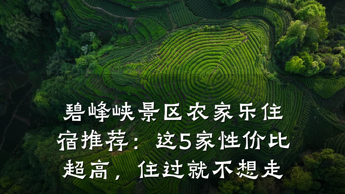碧峰峡景区农家乐住宿推荐:这5家性价比超高,住过就不想走