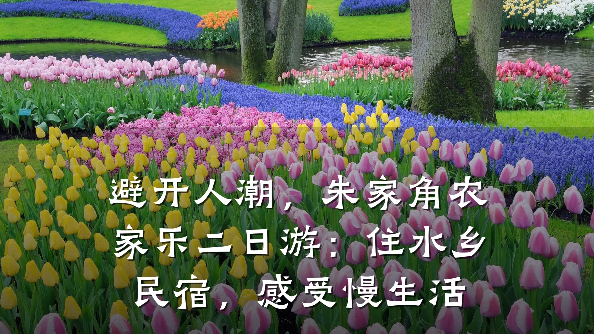 避开人潮，朱家角农家乐二日游：住水乡民宿，感受慢生活
