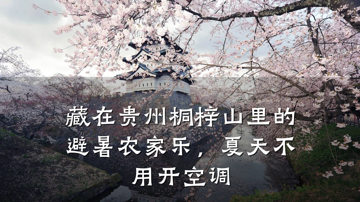 藏在贵州桐梓山里的避暑农家乐,夏天不用开空调