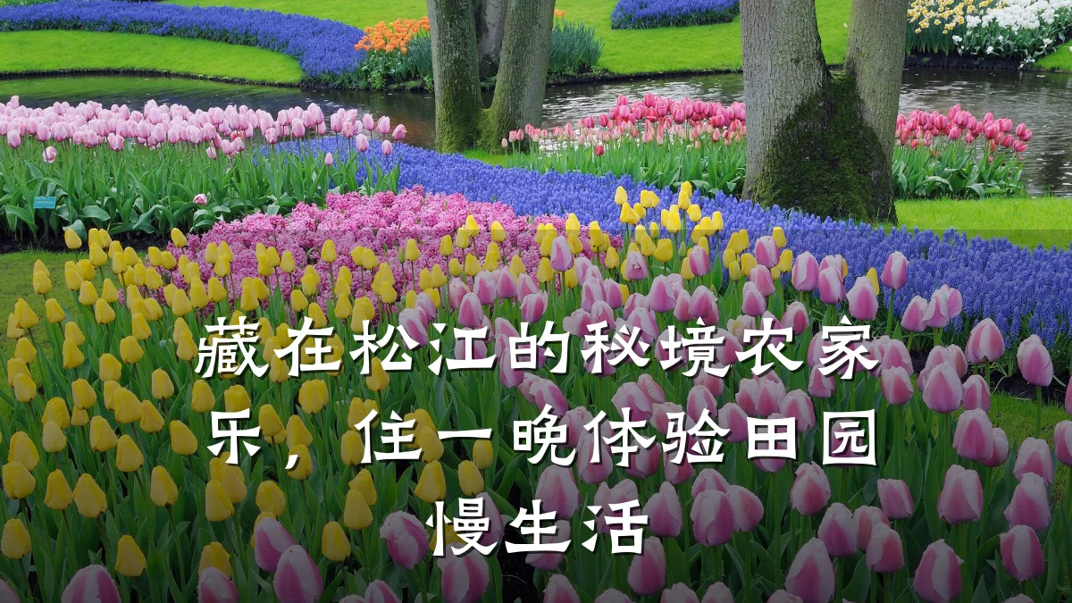 藏在松江的秘境农家乐,住一晚体验田园慢生活