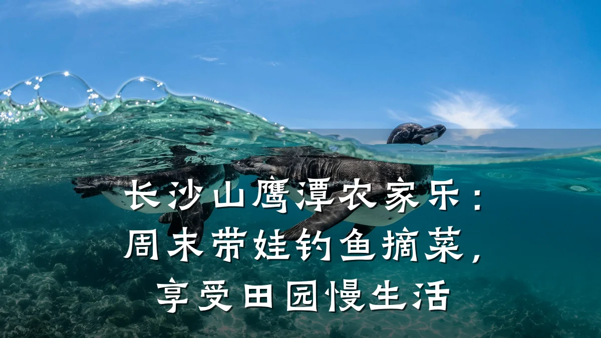 长沙山鹰潭农家乐:周末带娃钓鱼摘菜,享受田园慢生活