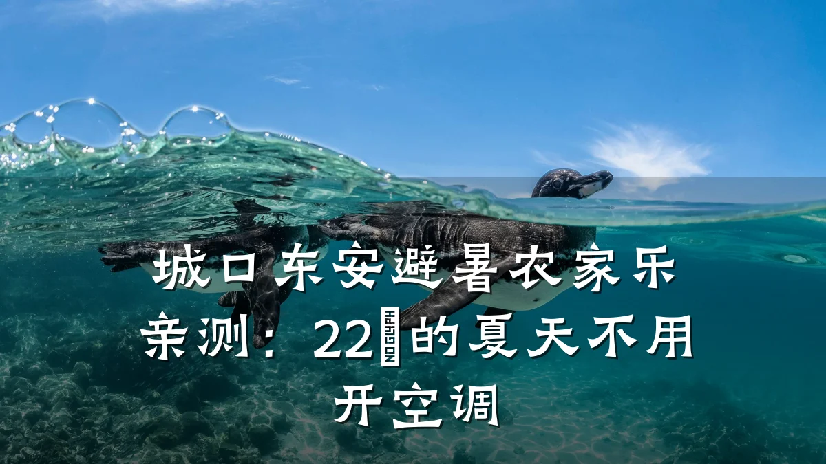 城口东安避暑农家乐亲测：22℃的夏天不用开空调