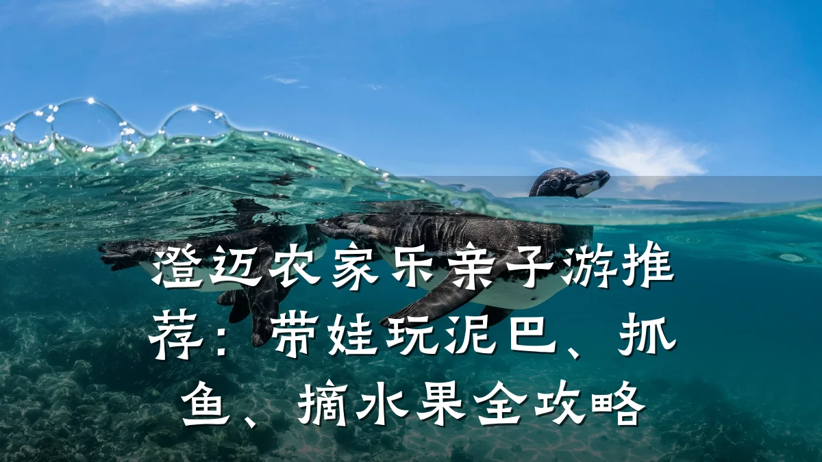 澄迈农家乐亲子游推荐:带娃玩泥巴、抓鱼、摘水果全攻略
