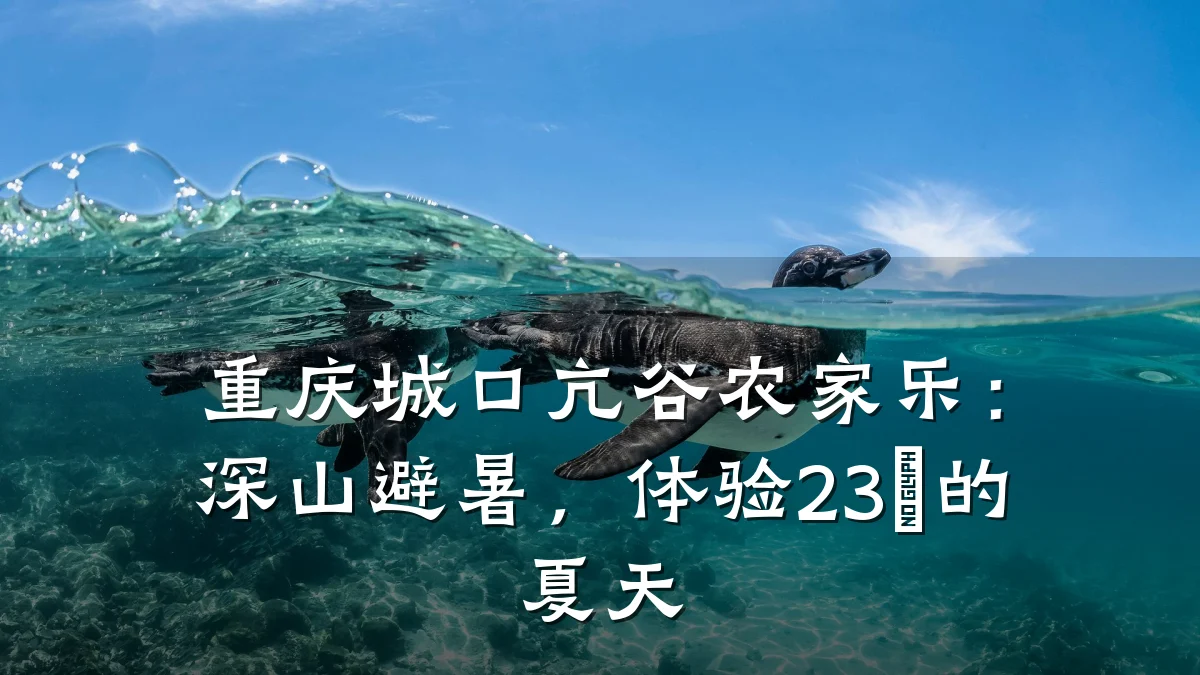 重庆城口亢谷农家乐:深山避暑,体验23℃的夏天