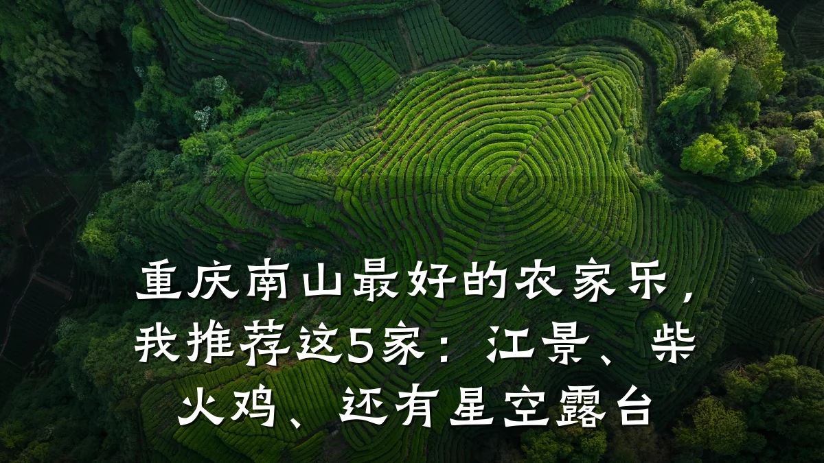 重庆南山最好的农家乐,我推荐这5家:江景、柴火鸡、还有星空露台