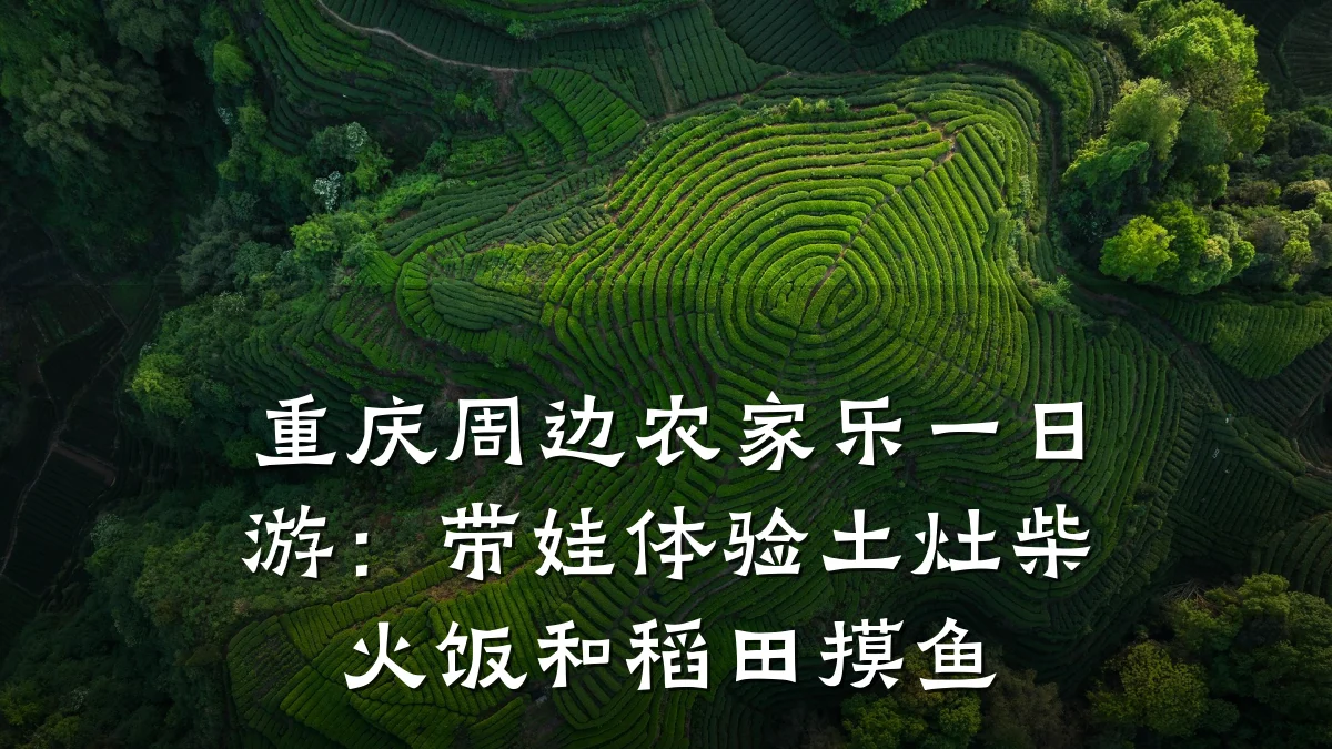 重庆周边农家乐一日游：带娃体验土灶柴火饭和稻田摸鱼