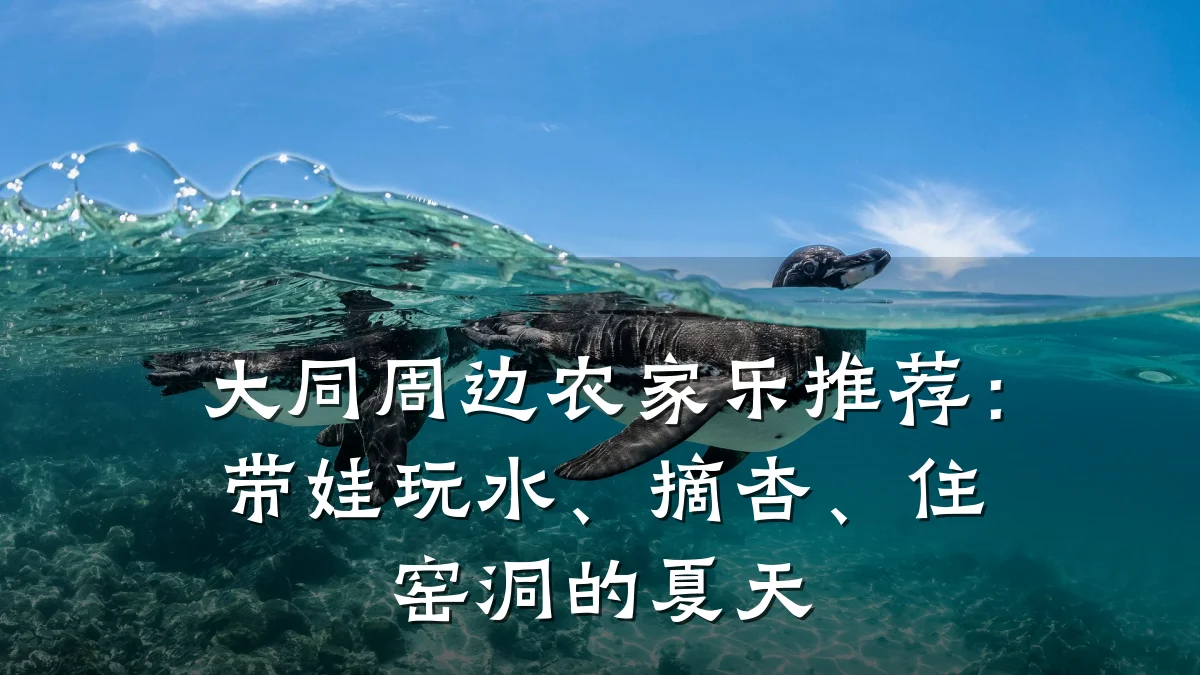 大同周边农家乐推荐:带娃玩水、摘杏、住窑洞的夏天