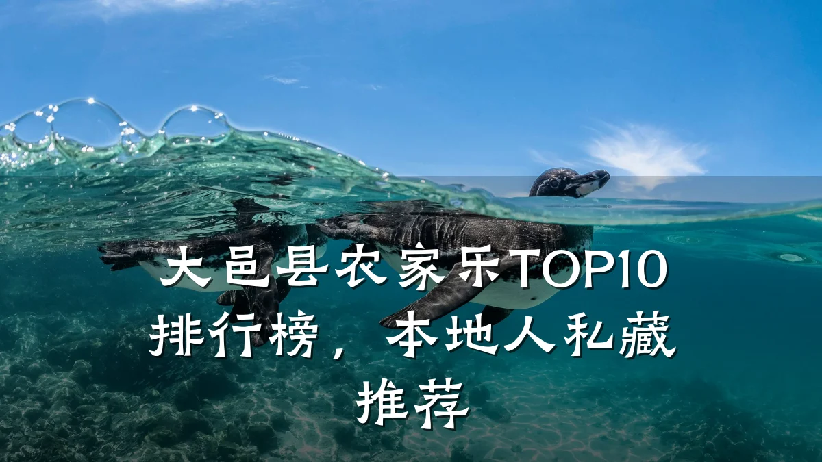 大邑县农家乐TOP10排行榜，本地人私藏推荐