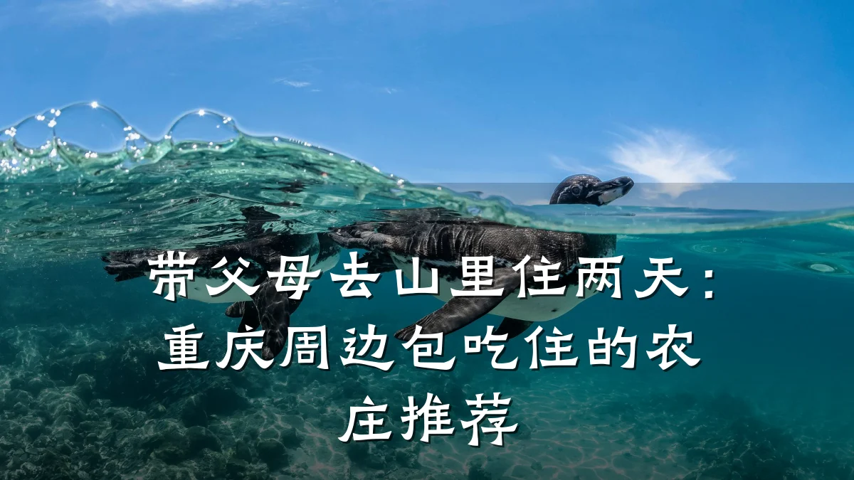 带父母去山里住两天:重庆周边包吃住的农庄推荐