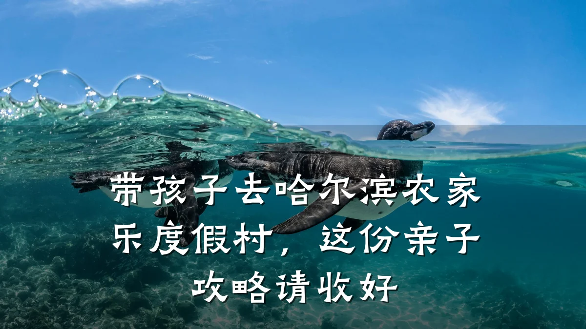 带孩子去哈尔滨农家乐度假村,这份亲子攻略请收好